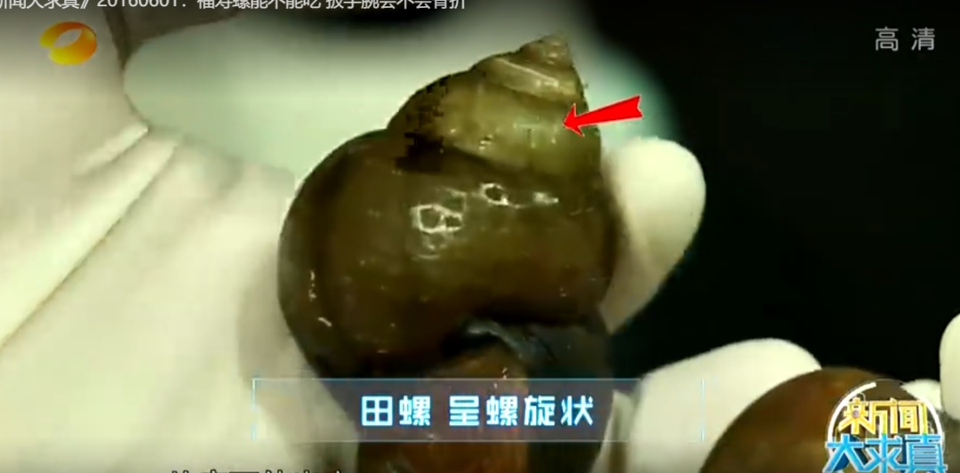 杭州多地已出现,有人看到直呼恶心!别碰!更别吃! 杭州多地已出现,有人看到直呼恶心!别碰!更别吃!