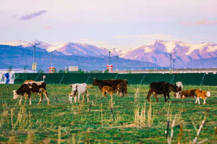 美!阿勒泰四季每一张都是壁纸 美!阿勒泰四季每一张都是壁纸