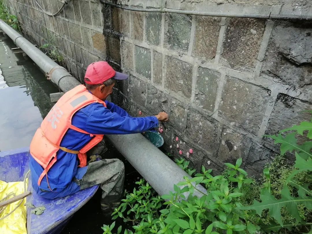 杭州多地已出现,有人看到直呼恶心!别碰!更别吃! 杭州多地已出现,有人看到直呼恶心!别碰!更别吃!