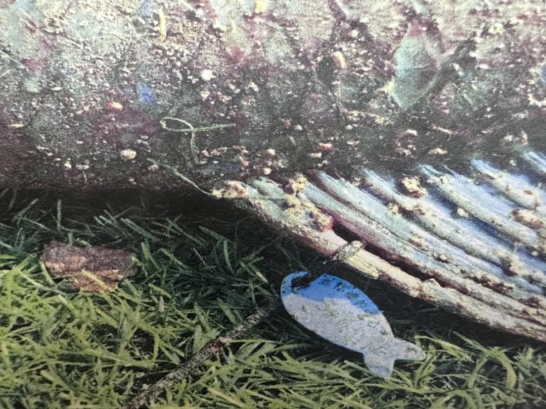 入场费4000元,钓一条鱼能兑2万?注意! 入场费4000元,钓一条鱼能兑2万?注意!