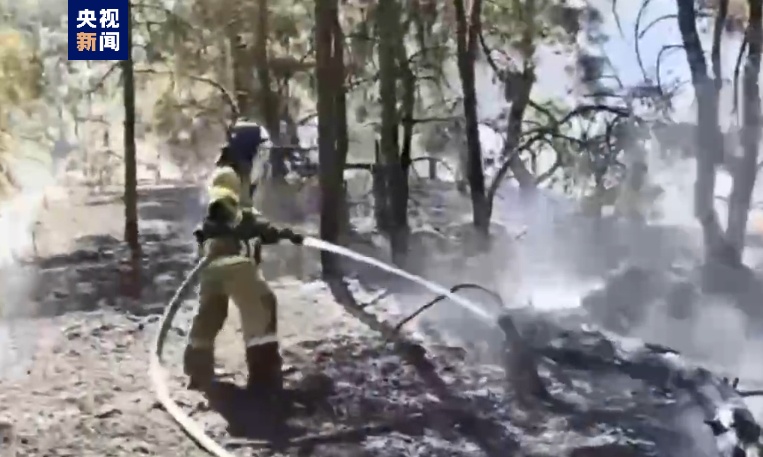 俄罗斯罗斯托夫州林火过火面积已增至117公顷