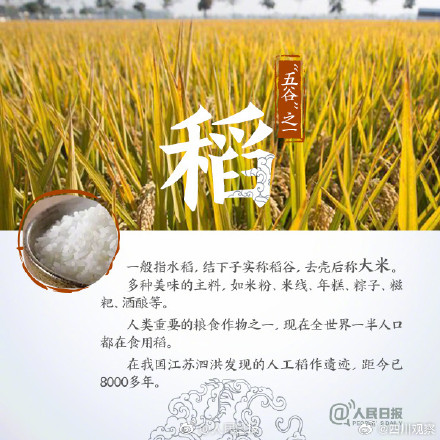 你分得清田间的作物吗？古代的“五谷”指的都是啥？