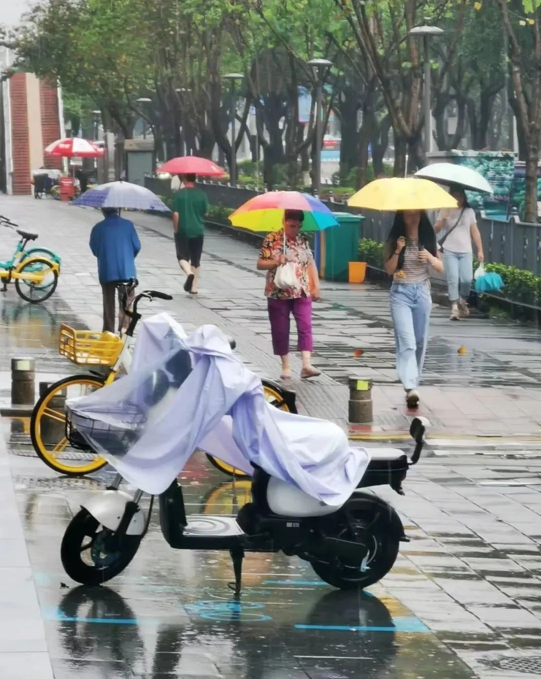 刚刚，预警解除！厦门的雨要下到……