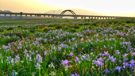 美!阿勒泰四季每一张都是壁纸 美!阿勒泰四季每一张都是壁纸
