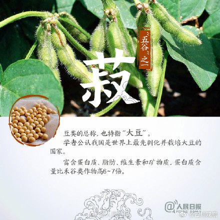你分得清田间的作物吗？古代的“五谷”指的都是啥？