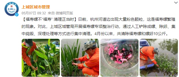 杭州多地已出现,有人看到直呼恶心!别碰!更别吃! 杭州多地已出现,有人看到直呼恶心!别碰!更别吃!