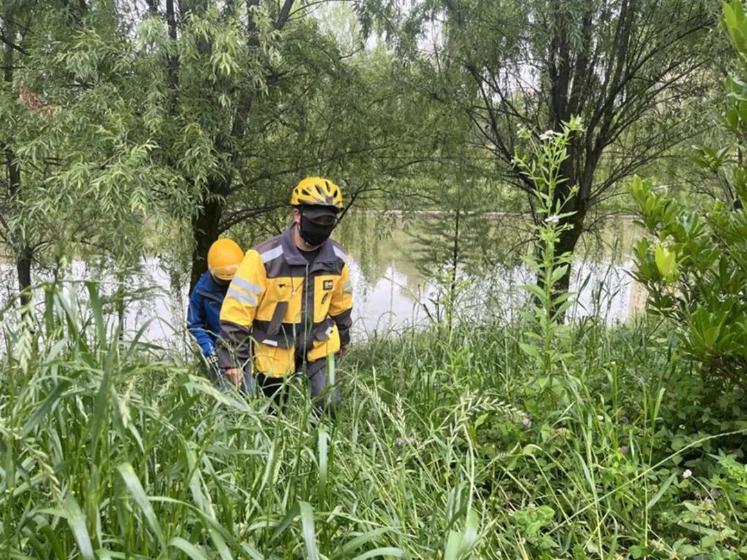 女子凌晨在河边下单，外卖小哥果断施救：不对劲！