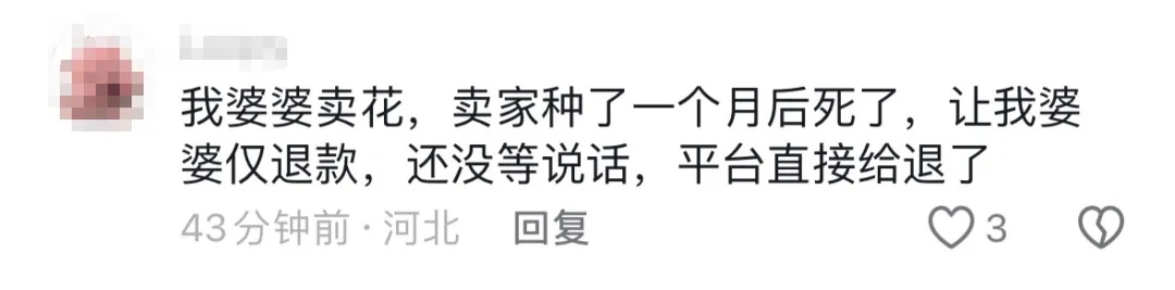 为了12双袜子，沪一女店主奔波千里？众网友：该！