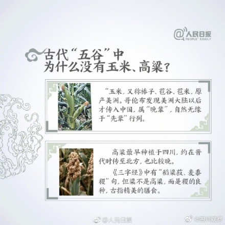 你分得清田间的作物吗？古代的“五谷”指的都是啥？