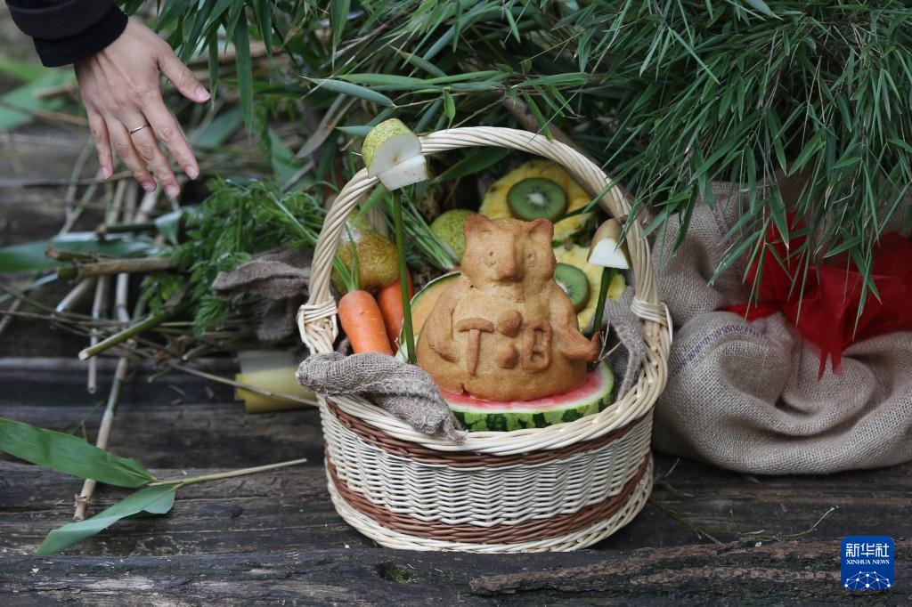 比利时:大熊猫“天宝”庆祝八岁生日 比利时:大熊猫“天宝”庆祝八岁生日