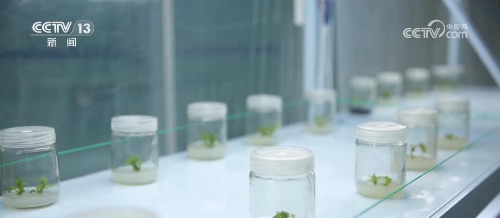 丰富百姓“果盘子” 以多元优质供给守护大众“舌尖”上的幸福