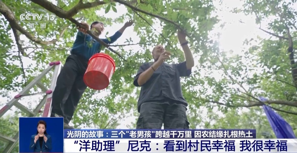 驻村书记、农学博士、外国人……三个“老男孩”因农结缘