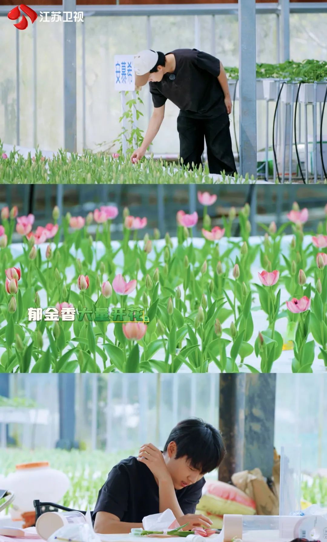 江苏卫视《种地吧2》十个勤天解锁立体农业，农事有喜亦有忧