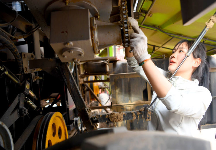 “又美又飒”——河南“00后”女机手踏麦浪一路向北