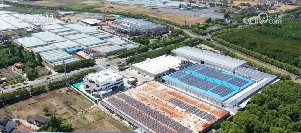 小菌菇开出“致富伞” “智慧农业设备+良种”种出新“食”尚 小菌菇开出“致富伞” “智慧农业设备+良种”种出新“食”尚