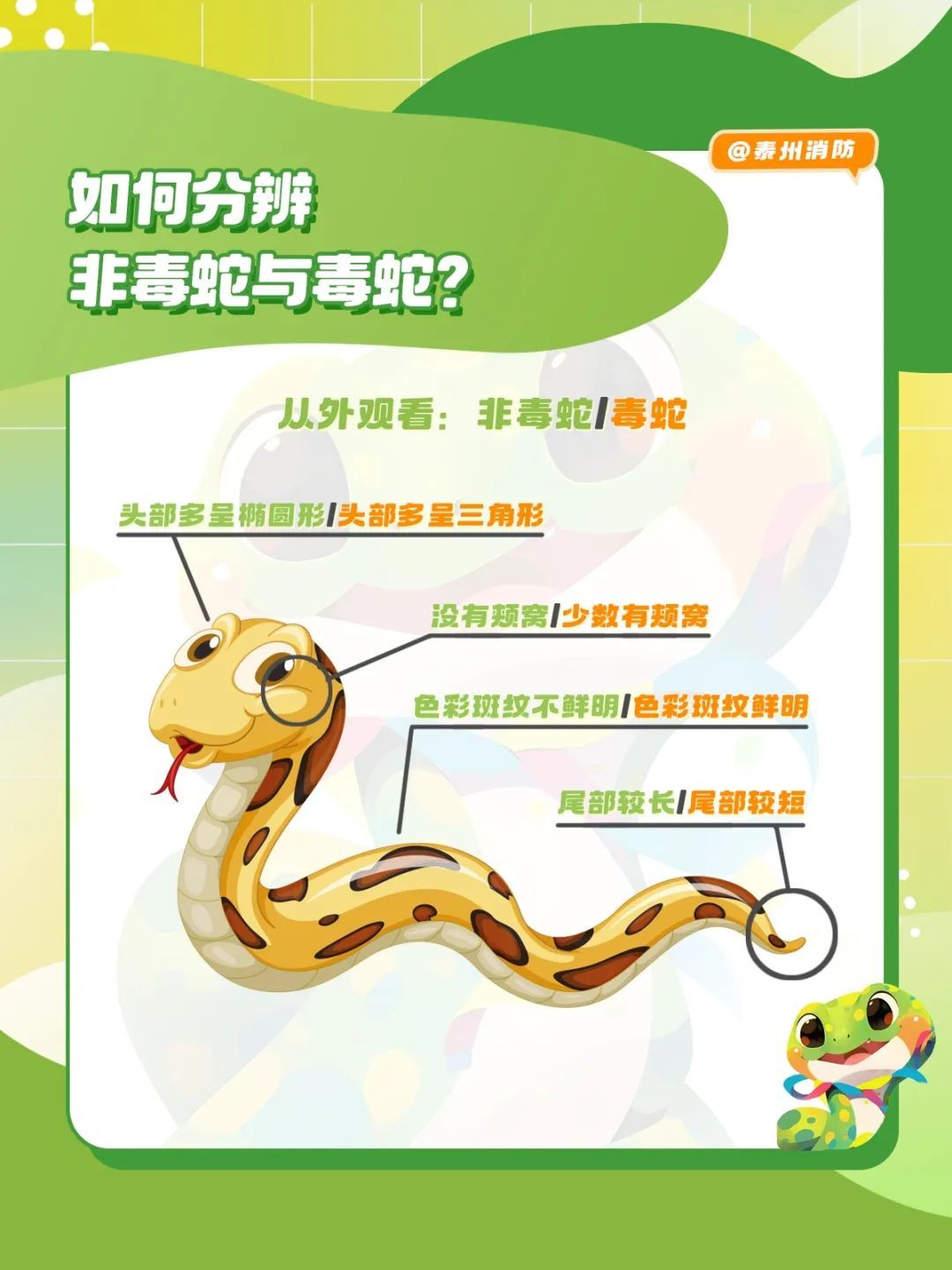 银川一园区仓库突然“蛇出没”，吓得群众连忙报警！