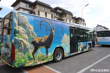 北京熊猫主题公交车上线 快乘坐它畅游动物园！