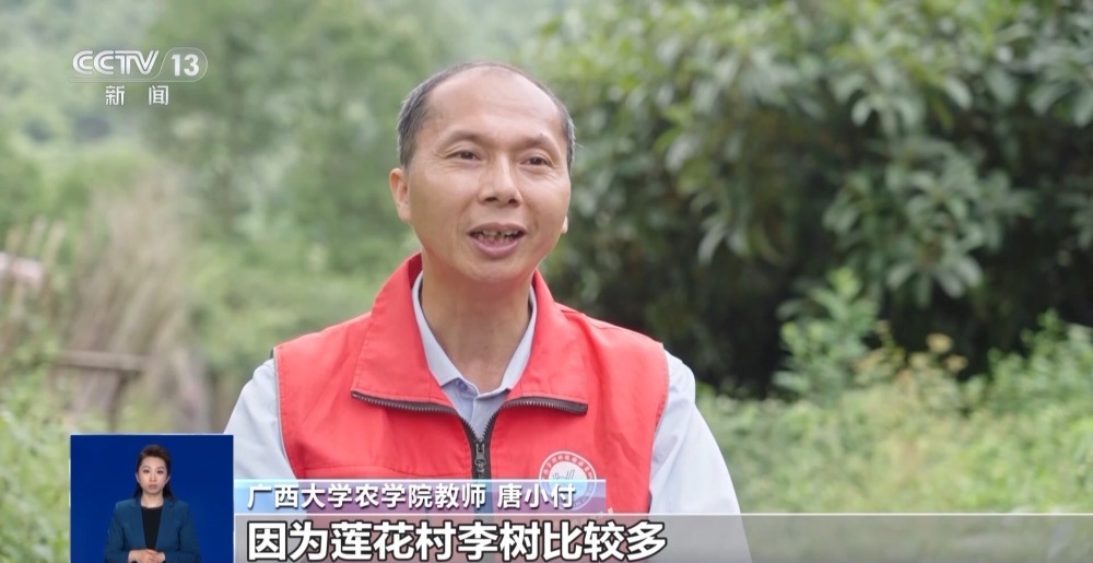 驻村书记、农学博士、外国人……三个“老男孩”因农结缘