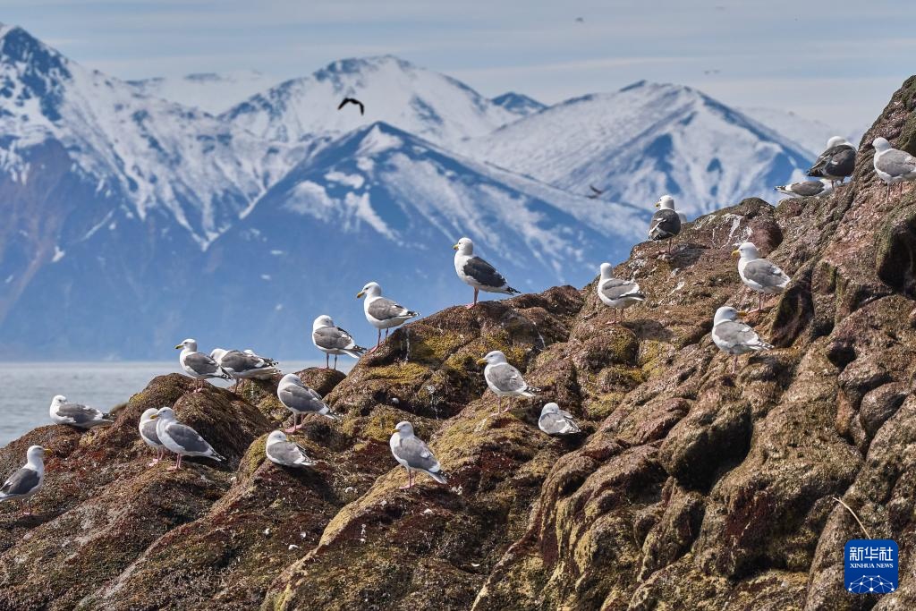 俄罗斯堪察加边疆区掠影 俄罗斯堪察加边疆区掠影