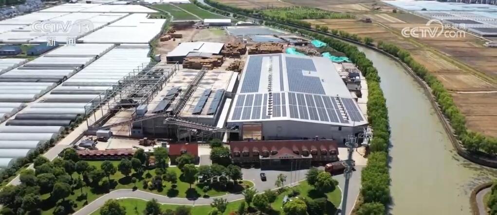 小菌菇开出“致富伞” “智慧农业设备+良种”种出新“食”尚 小菌菇开出“致富伞” “智慧农业设备+良种”种出新“食”尚