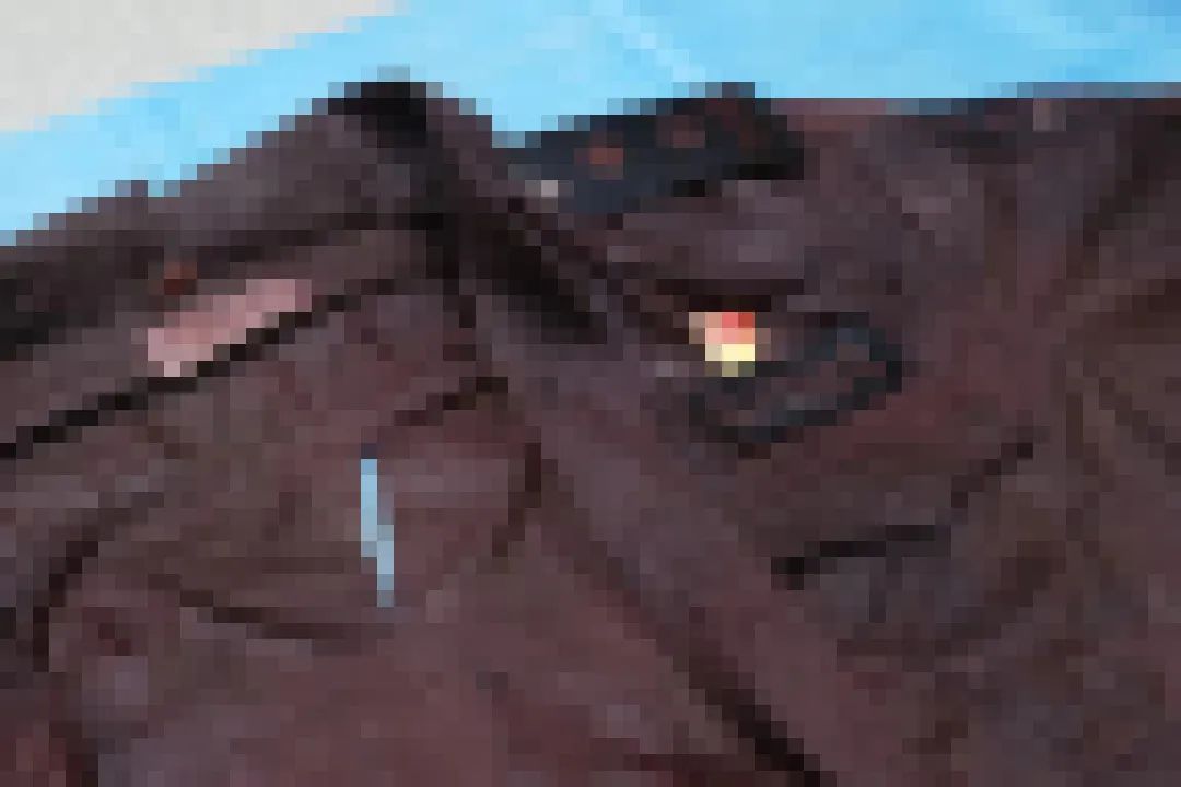 痛别英雄!派出所副所长身中15刀仍坚持追凶…… 痛别英雄!派出所副所长身中15刀仍坚持追凶……