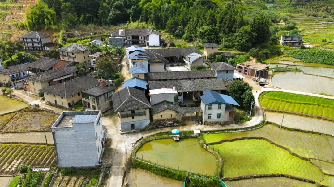 荣获三等功！福州陈亮，赞！