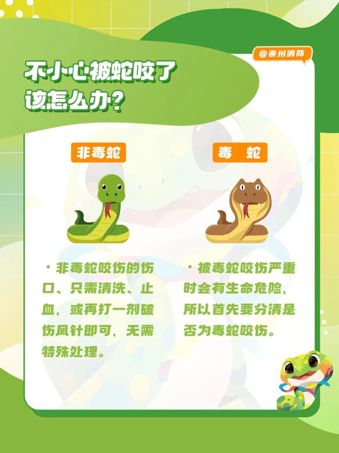 银川一园区仓库突然“蛇出没”，吓得群众连忙报警！