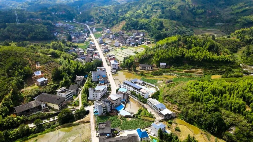 荣获三等功！福州陈亮，赞！