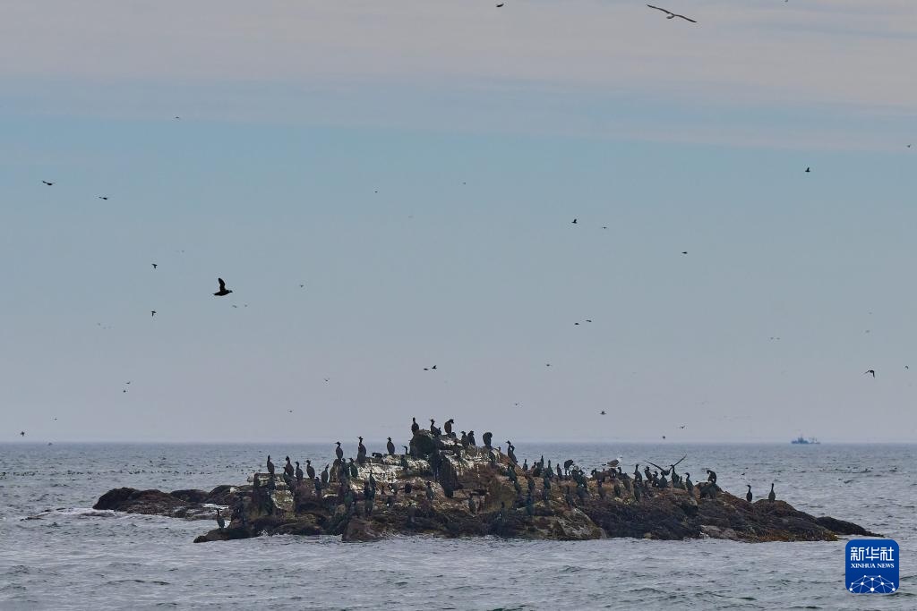俄罗斯堪察加边疆区掠影 俄罗斯堪察加边疆区掠影