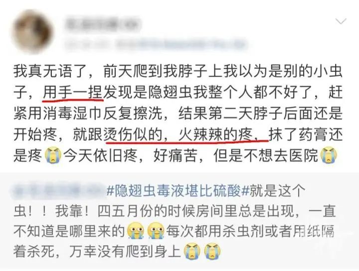 差点毁容，千万别碰！很多人都中过招…