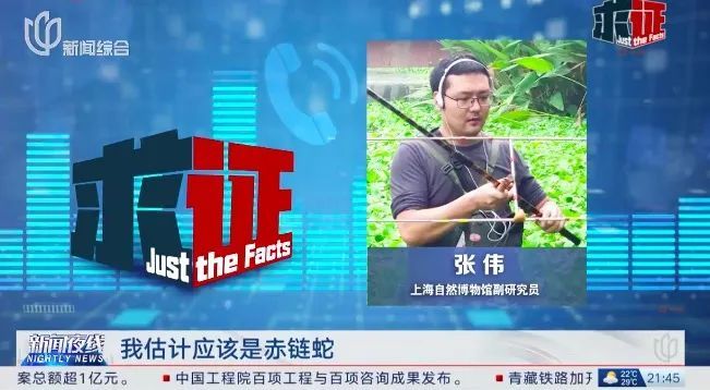 上海市民：世纪公园有蛇，一米多长！多座公园都监测到过，专家提醒→