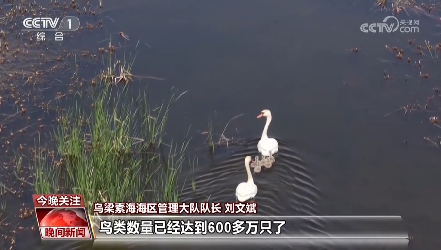 走“三北” 看攻坚——从“沙进人退”到“绿进沙退” 科学治沙 久久为功 走“三北” 看攻坚——从“沙进人退”到“绿进沙退” 科学治沙 久久为功