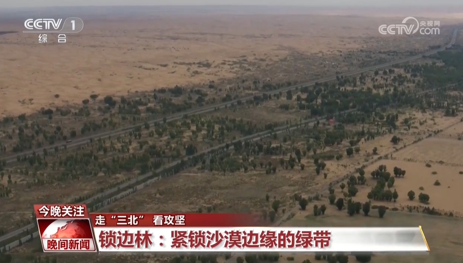 走“三北” 看攻坚——从“沙进人退”到“绿进沙退” 科学治沙 久久为功 走“三北” 看攻坚——从“沙进人退”到“绿进沙退” 科学治沙 久久为功