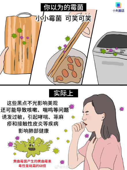 电蚊拍和杀虫剂一起用会着火？这些日常但“危险”的事你知道吗