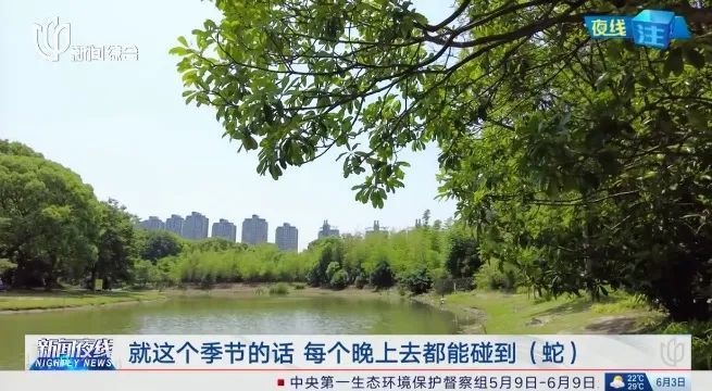 上海市民：世纪公园有蛇，一米多长！多座公园都监测到过，专家提醒→