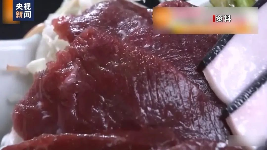 第二大海洋哺乳动物被日本捕鲸船盯上了！