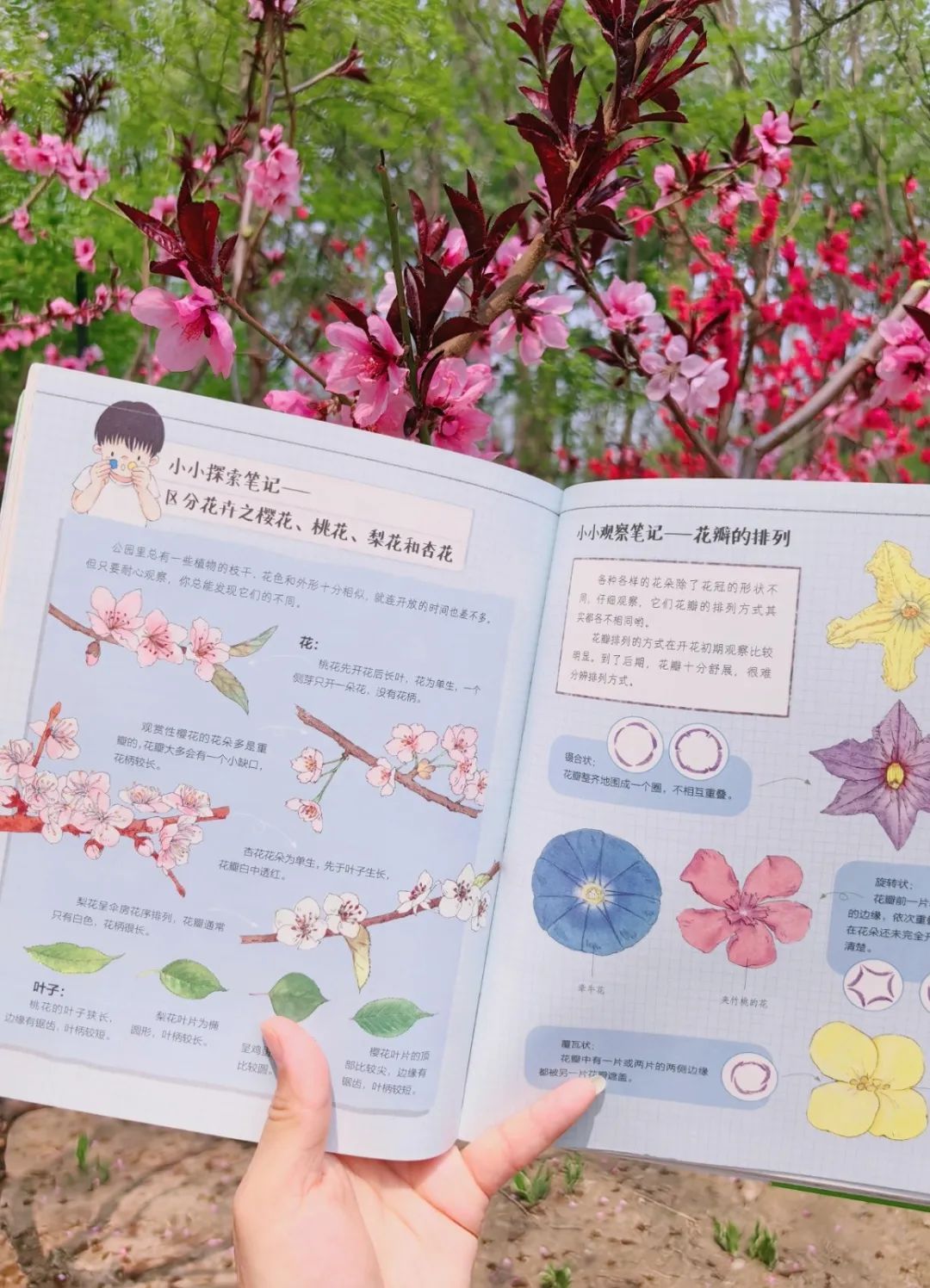 旧书新知、童心飞扬！这个周末，钟鼓楼下真热闹！