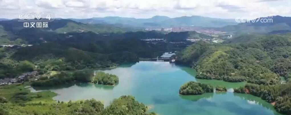 “植”此青绿 数据背后是中国生态保护修复工作的“绿色”答卷