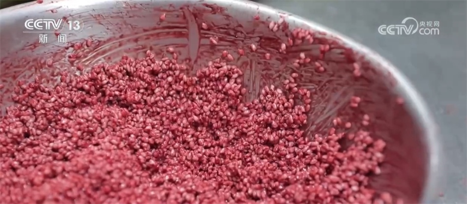 口味升级、跨界“上新”、海外“出圈”……舌尖上的“端午经济”释放消费活力