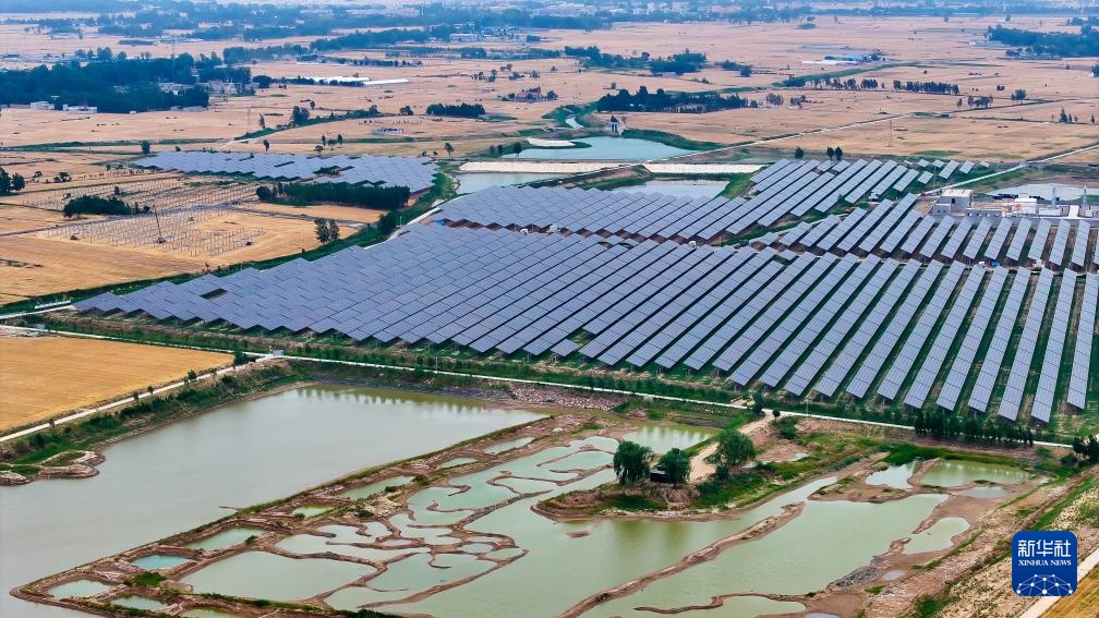 山东嘉祥：农光互补赋能塌陷区治理