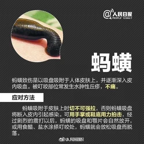 差点毁容，千万别碰！很多人都中过招…