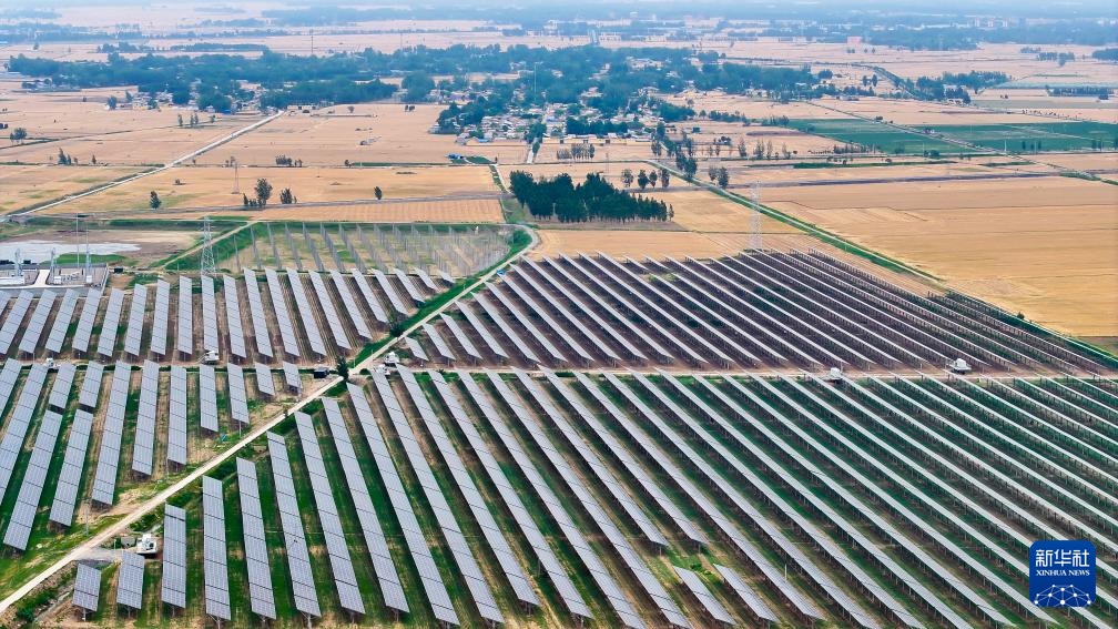 山东嘉祥：农光互补赋能塌陷区治理