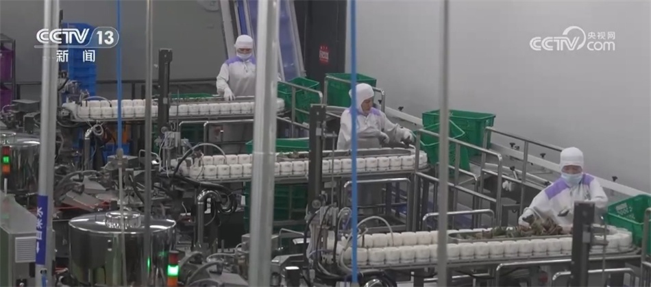 口味升级、跨界“上新”、海外“出圈”……舌尖上的“端午经济”释放消费活力