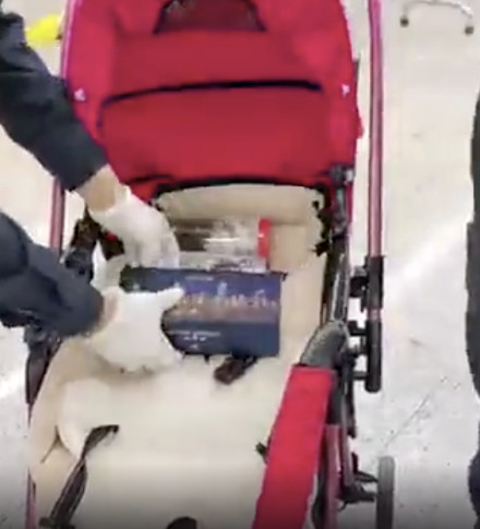 女子在婴儿车里藏15只甲虫过关被查获