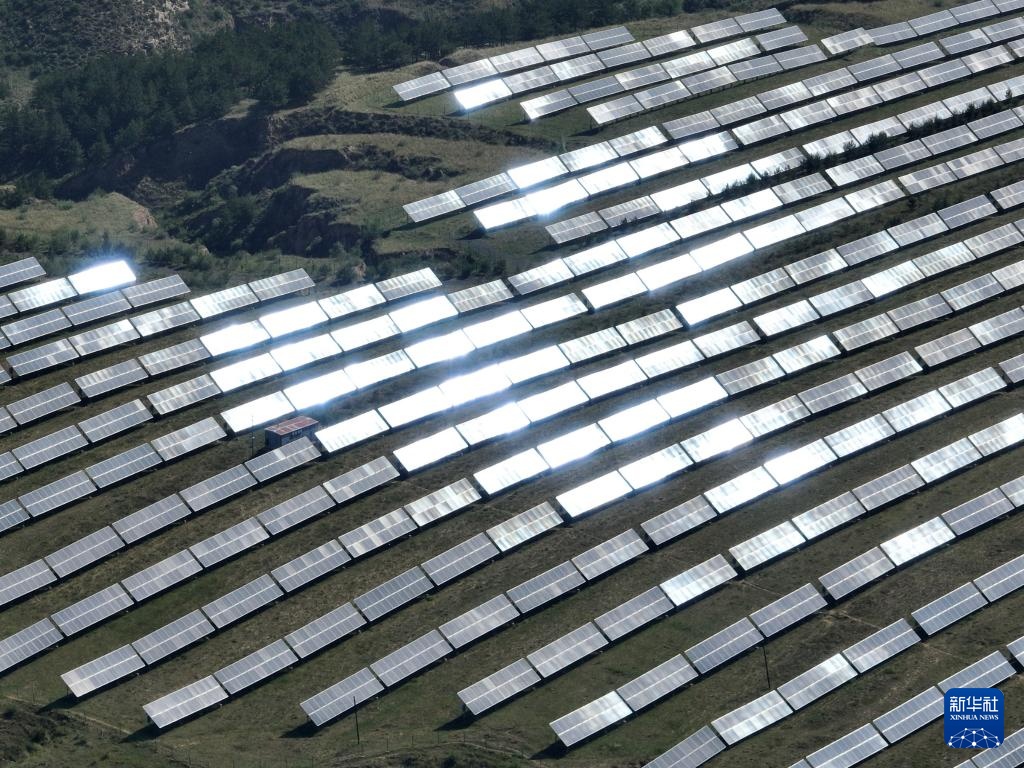 新时代中国调研行之看区域·中部篇｜山西大同：采煤沉陷区向“绿”而生