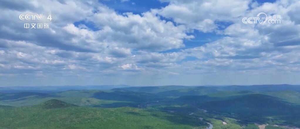 “植”此青绿 数据背后是中国生态保护修复工作的“绿色”答卷