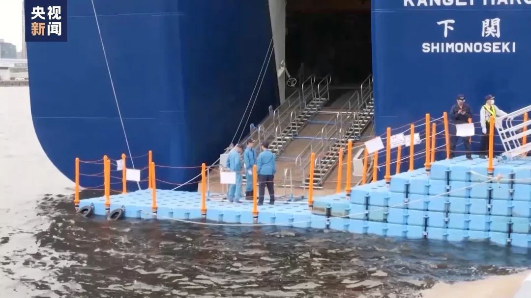 第二大海洋哺乳动物被日本捕鲸船盯上了！