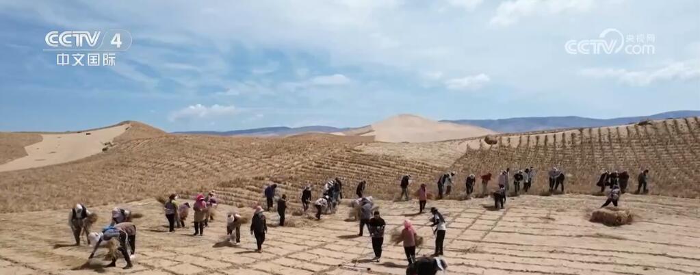 “植”此青绿 数据背后是中国生态保护修复工作的“绿色”答卷