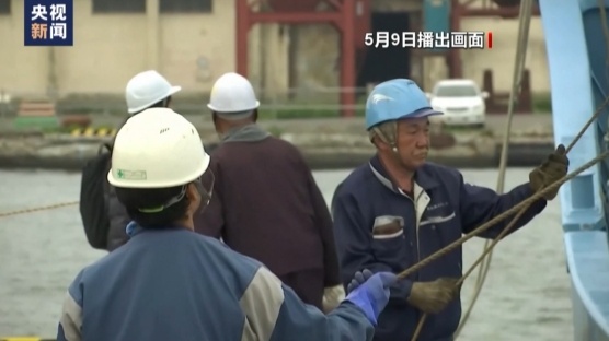 第二大海洋哺乳动物被日本捕鲸船盯上了！