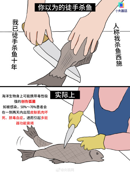 电蚊拍和杀虫剂一起用会着火？这些日常但“危险”的事你知道吗